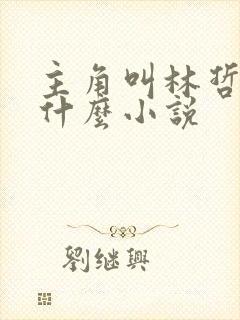 主角叫林哲的是什么小说