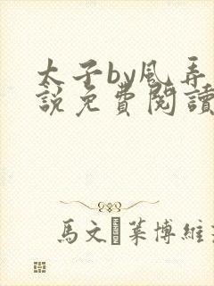 太子by风弄小说免费阅读笔趣阁封面