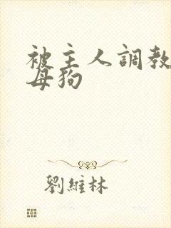 被主人调教成骚母狗