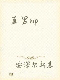 直男np