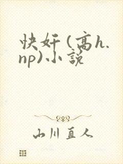 快奸 (高h.np)小说