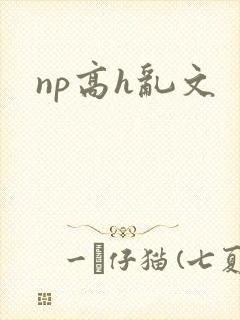 np高h乱文