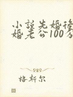 小说先婚后爱闪婚老公100分最新章节