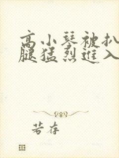 高小琴被扒开双腿猛烈进入小说封面