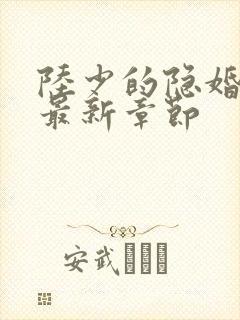 陆少的隐婚罪妻最新章节封面