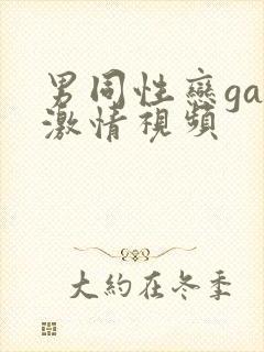 男同性恋gay激情视频