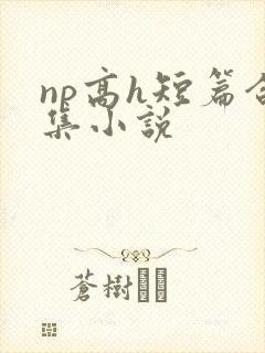 np高h短篇合集小说封面