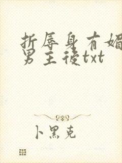 折辱身有媚香的男主后txt封面