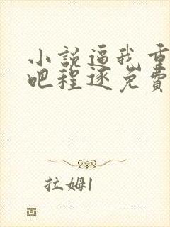 小说逼我重生是吧程逐免费全文阅读封面