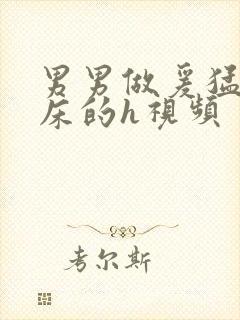 男男做爰猛烈叫床的h视频