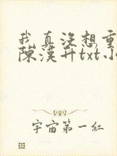 我真没想重生啊陈汉升txt小说下载封面