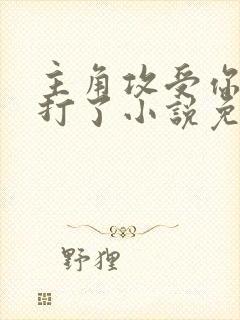 主角攻受你们别打了小说免费阅读