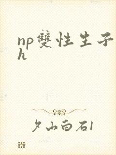 np双性生子高h