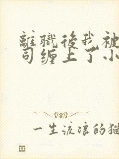 离职后我被前上司缠上了小说在线阅读封面