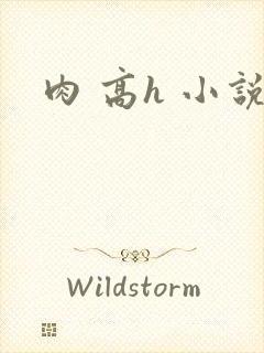 肉 高h 小说封面