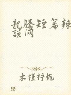 龙腾短篇辣文小说网