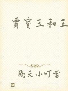 贾宝玉和王夫人