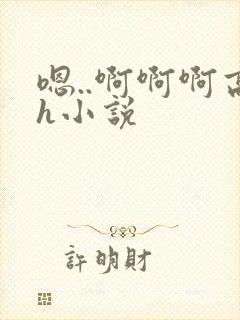 嗯..啊啊啊高h小说