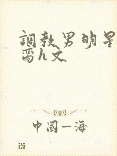 调教男明星成禁脔h文封面