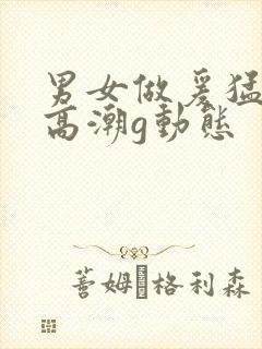 男女做爰猛烈动高潮g动态