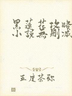 黑莲花攻略手册小说无删减在线阅读封面