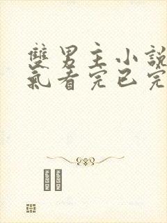 双男主小说一口气看完已完结封面