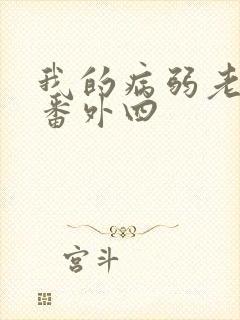 我的病弱老婆 番外四封面