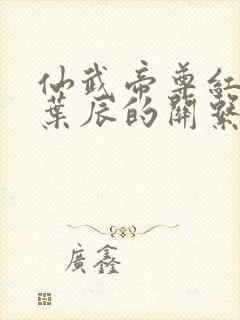 仙武帝尊红尘与叶辰的关系