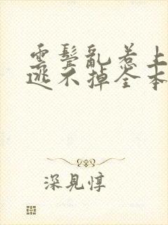 云鬓乱惹上权臣逃不掉全本阅读