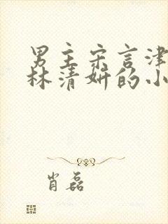 男主宋言津女主林清妍的小说封面