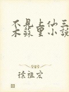 不见上仙三百年木苏里小说全集txt封面