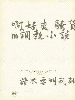 啊好爽 骚货sm调教小说