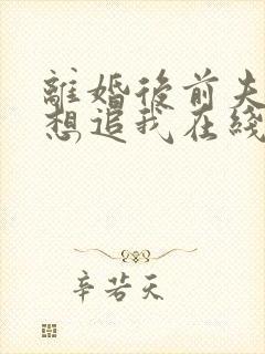 离婚后前夫总是想追我在线阅读全文免费