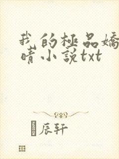 我的极品娇妻苏晴小说txt