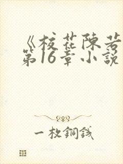 《校花陈若雪》第16章小说阅读封面