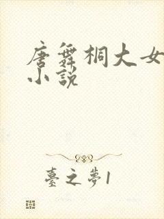 唐舞桐大女主的小说封面