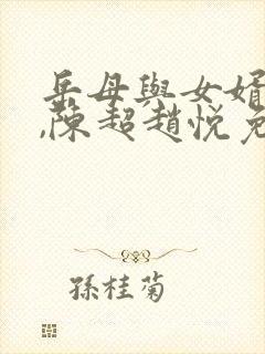 岳母与女婿小说,陈超赵悦免费阅读