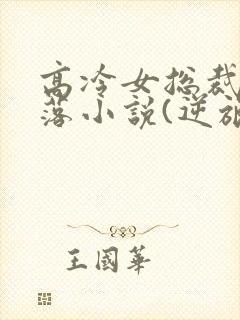 高冷女总裁的堕落小说(逆旅)全文阅读