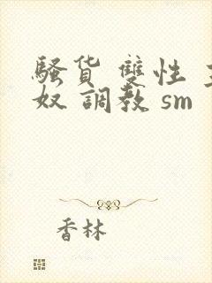 骚货 双性 主奴 调教 sm封面