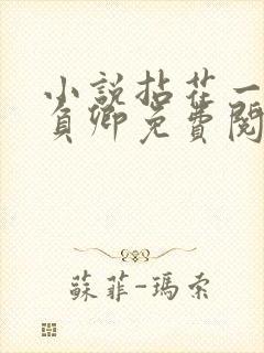 小说拈花一笑不负卿免费阅读封面