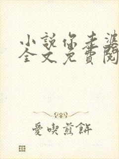 小说你老婆掉了全文免费阅读