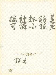 总被抓的美貌小可怜小说免费阅读