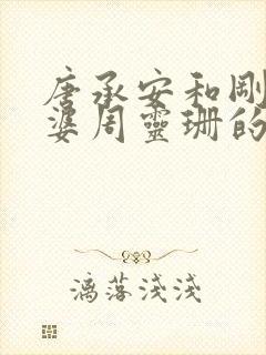 唐承安和刚子老婆周灵珊的小说免费阅读