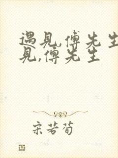 遇见,傅先生遇见,傅先生封面