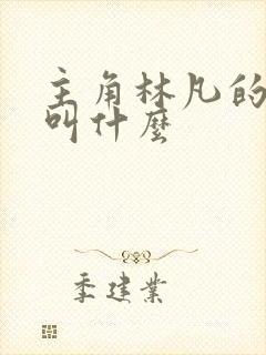 主角林凡的小说叫什么