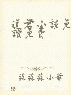 道君小说免费阅读免费封面