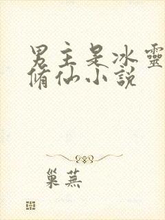 男主是冰灵根的修仙小说封面