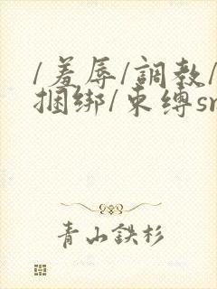 /羞辱/调教/捆绑/束缚sm双男