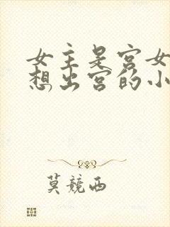 女主是宫女一心想出宫的小说