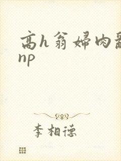 高h翁妇肉乱文np封面